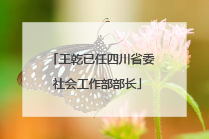 王乾已任四川省委社会工作部部长