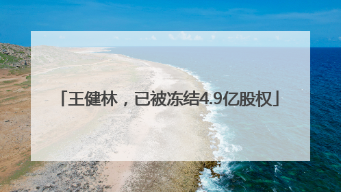 王健林，已被冻结4.9亿股权