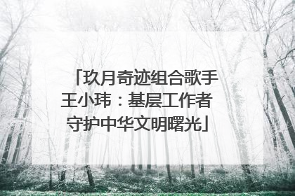 玖月奇迹组合歌手王小玮：基层工作者守护中华文明曙光