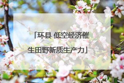 环县 低空经济催生田野新质生产力