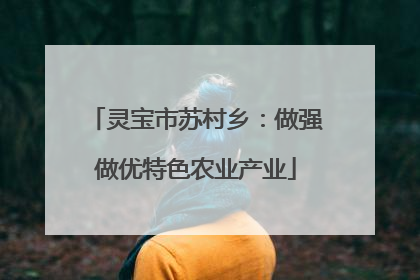灵宝市苏村乡：做强做优特色农业产业