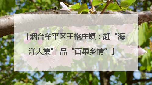 烟台牟平区王格庄镇：赶“海洋大集” 品“百果乡情”