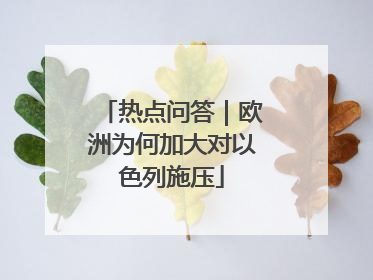 热点问答｜欧洲为何加大对以色列施压