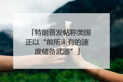 特朗普发帖称美国正以“前所未有的速度储备武器”