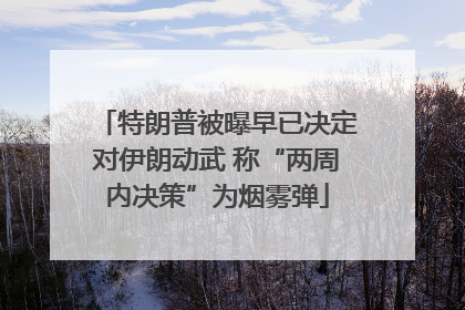 特朗普被曝早已决定对伊朗动武 称“两周内决策”为烟雾弹