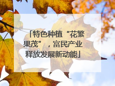 特色种植“花繁果茂”，富民产业释放发展新动能
