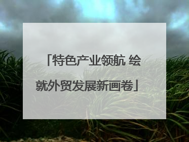 特色产业领航 绘就外贸发展新画卷