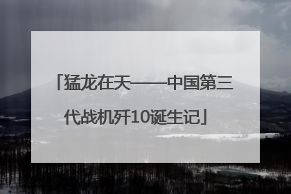 猛龙在天——中国第三代战机歼10诞生记