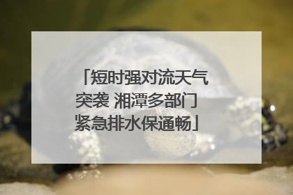 短时强对流天气突袭 湘潭多部门紧急排水保通畅