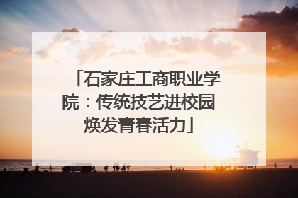 石家庄工商职业学院：传统技艺进校园焕发青春活力