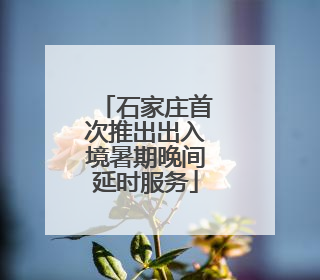 石家庄首次推出出入境暑期晚间延时服务