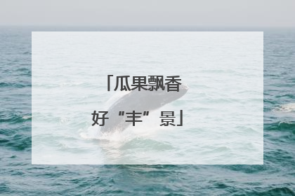 瓜果飘香 好“丰”景