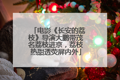 电影《长安的荔枝》导演大鹏带茂名荔枝进京，荔枝热甜透荧屏内外