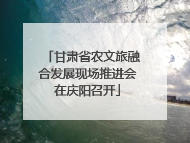 甘肃省农文旅融合发展现场推进会在庆阳召开