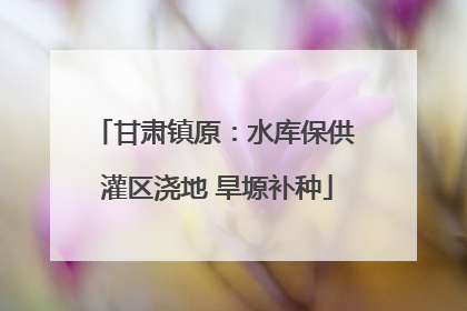 甘肃镇原：水库保供 灌区浇地 旱塬补种