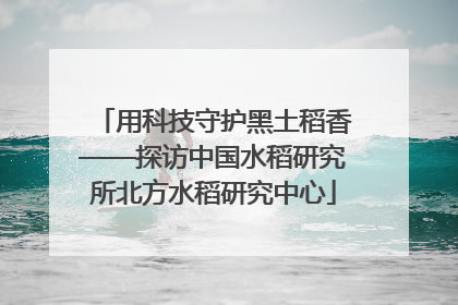 用科技守护黑土稻香——探访中国水稻研究所北方水稻研究中心