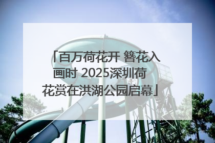 百万荷花开 簪花入画时 2025深圳荷花赏在洪湖公园启幕