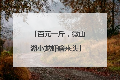 百元一斤，微山湖小龙虾啥来头