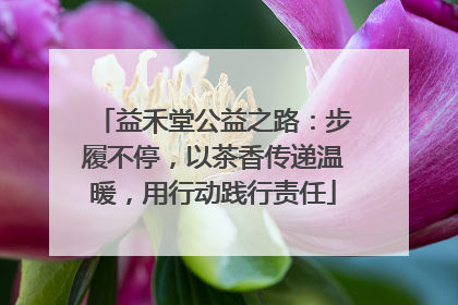 益禾堂公益之路：步履不停，以茶香传递温暖，用行动践行责任