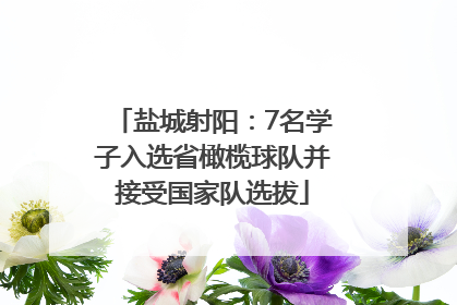 盐城射阳：7名学子入选省橄榄球队并接受国家队选拔