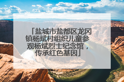 盐城市盐都区龙冈镇杨斌村组织儿童参观杨斌烈士纪念馆，传承红色基因