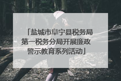 盐城市阜宁县税务局第一税务分局开展廉政警示教育系列活动