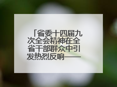 省委十四届九次全会精神在全省干部群众中引发热烈反响——既为一域增光，更为全局添彩
