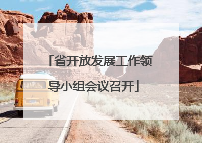 省开放发展工作领导小组会议召开