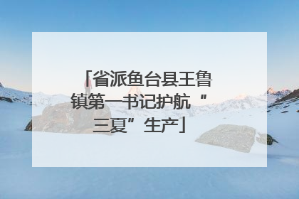 省派鱼台县王鲁镇第一书记护航“三夏”生产