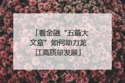 看金融“五篇大文章”如何助力龙江高质量发展