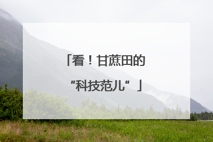 看！甘蔗田的“科技范儿”