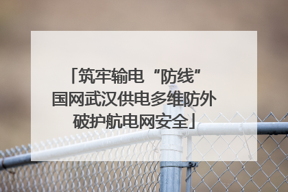 筑牢输电“防线” 国网武汉供电多维防外破护航电网安全
