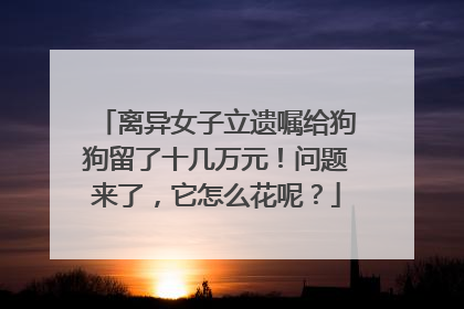 离异女子立遗嘱给狗狗留了十几万元！问题来了，它怎么花呢？
