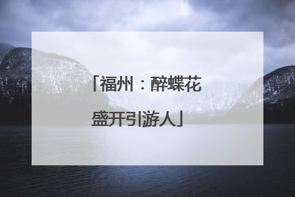 福州：醉蝶花盛开引游人