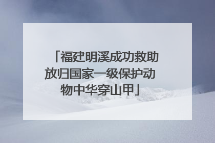 福建明溪成功救助放归国家一级保护动物中华穿山甲