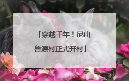 穿越千年！尼山鲁源村正式开村