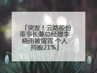 突发！云路股份董事长兼总经理李晓雨被留置 个人持股21%