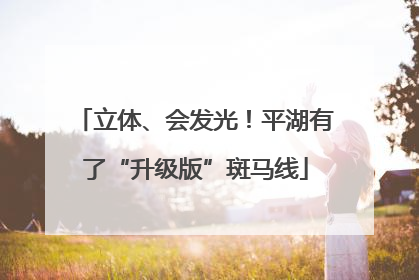 立体、会发光！平湖有了“升级版”斑马线