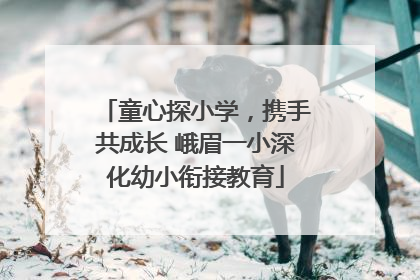 童心探小学，携手共成长 峨眉一小深化幼小衔接教育