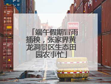 端午假期冒雨插秧，张家界黄龙洞景区生态田园农事忙