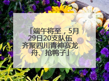 端午将至，5月29日20支队伍齐聚四川青神赛龙舟、抢鸭子