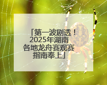 第一波剧透！2025年湖南各地龙舟赛观赛指南奉上