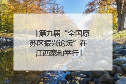 第九届“全国原苏区振兴论坛”在江西泰和举行
