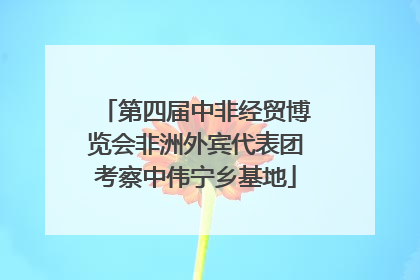 第四届中非经贸博览会非洲外宾代表团考察中伟宁乡基地