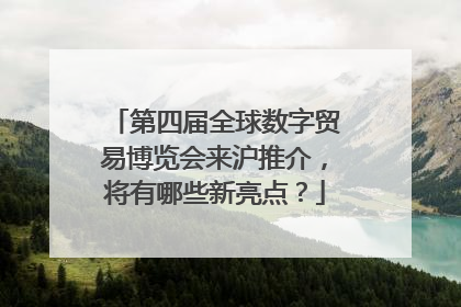 第四届全球数字贸易博览会来沪推介，将有哪些新亮点？