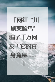 网红“川剧变脸鸟”骗了千万网友！它的真身竟是……