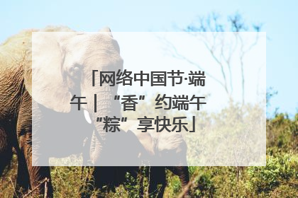 网络中国节·端午｜“香”约端午 “粽”享快乐