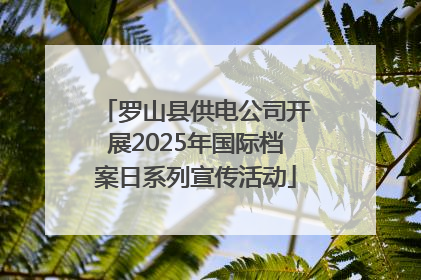 罗山县供电公司开展2025年国际档案日系列宣传活动