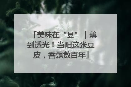 美味在“县”｜薄到透光！当阳这张豆皮，香飘数百年