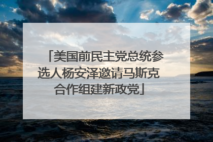 美国前民主党总统参选人杨安泽邀请马斯克合作组建新政党